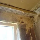 Przedsiębiorstwo 7 wizerunek DERTY SERWIS ODGRZYBIANIE I OSUSZANIE Kategoria w Warszawa MZ