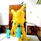 Przedsiębiorstwo 14 wizerunek DERTY SERWIS ODGRZYBIANIE I OSUSZANIE Kategoria w Warszawa MZ