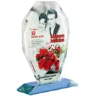 Przedsiębiorstwo 1 wizerunek DOMAN DARIUSZ DOMAŃSKI Sportowe Artykuły, Sprzęt - Produkcja, Hurt w Stalowa Wola PK