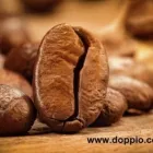 Przedsiębiorstwo 3 wizerunek DOPPIO CAFFE SERVICE - CAFFE MISCELA D''ORO Kawa, Herbata - Produkcja, Hurt w Warszawa MZ