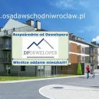 Przedsiębiorstwo 2 wizerunek DPDEWELOPER Kategoria w Kiełczów DS