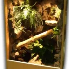 Przedsiębiorstwo 1 wizerunek DRAKONIS Szklarskie Usługi w Łódź LD