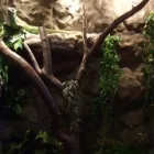 Przedsiębiorstwo 3 wizerunek DRAKONIS Szklarskie Usługi w Łódź LD