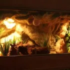 Przedsiębiorstwo 4 wizerunek DRAKONIS Szklarskie Usługi w Łódź LD