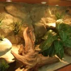 Przedsiębiorstwo 5 wizerunek DRAKONIS Szklarskie Usługi w Łódź LD