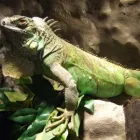 Przedsiębiorstwo 6 wizerunek DRAKONIS Szklarskie Usługi w Łódź LD