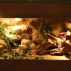 Przedsiębiorstwo 7 wizerunek DRAKONIS Szklarskie Usługi w Łódź LD