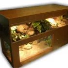 Przedsiębiorstwo 8 wizerunek DRAKONIS Szklarskie Usługi w Łódź LD