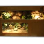 Przedsiębiorstwo 9 wizerunek DRAKONIS Szklarskie Usługi w Łódź LD