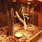 Przedsiębiorstwo 11 wizerunek DRAKONIS Szklarskie Usługi w Łódź LD