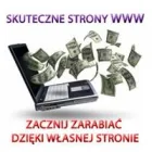 Przedsiębiorstwo 2 wizerunek EFEKT PARTNER ŁUKASZ TCHIR Strony Www - Projektowanie w Wrocław DS