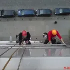 Przedsiębiorstwo 6 wizerunek ELBRUS PRACE WYSOKOŚCIOWE I REKLAMOWE Kategoria w Wrocław DS