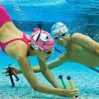 Przedsiębiorstwo 3 wizerunek ELEPHANT PRO SPORT Kategoria w Wrocław DS