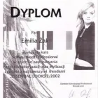 Przedsiębiorstwo 3 wizerunek EMILIA ŻAK SALON FRYZJERSKI I SOLARIUM Kategoria w Ostrowiec Świętokrzyski SK