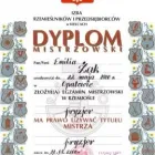 Przedsiębiorstwo 5 wizerunek EMILIA ŻAK SALON FRYZJERSKI I SOLARIUM Kategoria w Ostrowiec Świętokrzyski SK