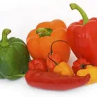 Przedsiębiorstwo 1 wizerunek EMKADIET PORADNICTWO ŻYWIENIOWE Odchudzanie w Wrocław DS