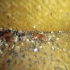 Przedsiębiorstwo 1 wizerunek ERPOL ERYK POŁEĆ Kategoria w Warszawa MZ