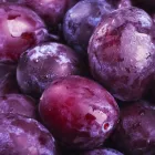 Przedsiębiorstwo 2 wizerunek FHU MARKET ADAM CICHUTA SKLEP ŻABKA Supermarkety, Hipermarkety w Rybnik SL