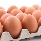 Przedsiębiorstwo 5 wizerunek FHU MARKET ADAM CICHUTA SKLEP ŻABKA Supermarkety, Hipermarkety w Rybnik SL