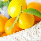 Przedsiębiorstwo 7 wizerunek FHU MARKET ADAM CICHUTA SKLEP ŻABKA Supermarkety, Hipermarkety w Rybnik SL