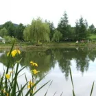 Przedsiębiorstwo 8 wizerunek FISCHLAND HURTOWNIA RYB Ryby, Rybne Przetwory - Hurt w Wrocław DS