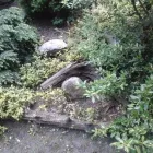 Przedsiębiorstwo 7 wizerunek FLORA OGRODY PAWEŁ PAJOR Ogrodnicze Artykuły, Sprzęt w Łódź LD