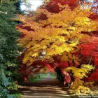 Przedsiębiorstwo 14 wizerunek FLORA OGRODY PAWEŁ PAJOR Ogrodnicze Artykuły, Sprzęt w Łódź LD