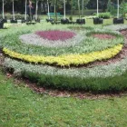 Przedsiębiorstwo 17 wizerunek FLORA OGRODY PAWEŁ PAJOR Ogrodnicze Artykuły, Sprzęt w Łódź LD