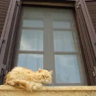 Przedsiębiorstwo 12 wizerunek FPUH MEDIUM | ŻALUZJE, ROLETY I MOSKITIERY Kategoria w Kielce SK