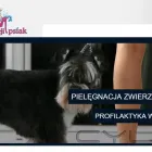 Przedsiębiorstwo 4 wizerunek FRYZJER DLA PSÓW APSIAK Zwierzęta Domowe - Hodowla, Pielęgnacja, Tresura w Warszawa MZ