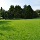 Przedsiębiorstwo 3 wizerunek GREEN&SNOW Ogrody, Tereny Zieleni - Projektowanie, Utrzymanie w Wrocław DS