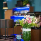 Przedsiębiorstwo 45 wizerunek HOLIDAY INN EXPRESS WARSAW AIRPORT Kategoria w Warsaw MZ