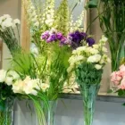 Przedsiębiorstwo 3 wizerunek HOME DESIGN FLOWERS Reklama - Agencje, Doradztwo w Końskie SK