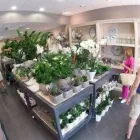 Przedsiębiorstwo 4 wizerunek HOME DESIGN FLOWERS Reklama - Agencje, Doradztwo w Końskie SK