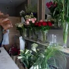 Przedsiębiorstwo 7 wizerunek HOME DESIGN FLOWERS Reklama - Agencje, Doradztwo w Końskie SK