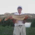 Przedsiębiorstwo 1 wizerunek IDEAL. SALON FOTOGRAFICZNY Kategoria w Ostrowiec Świętokrzyski SK