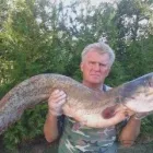 Przedsiębiorstwo 2 wizerunek IDEAL. SALON FOTOGRAFICZNY Kategoria w Ostrowiec Świętokrzyski SK