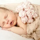 Przedsiębiorstwo 8 wizerunek IRIS CREAM Kategoria w Sosnowiec SL