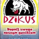 Przedsiębiorstwo 8 wizerunek IVO-TEX INTERLININGS Stolarstwo w Wrocław DS