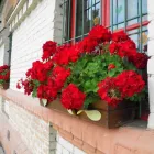 Przedsiębiorstwo 9 wizerunek KARCZMA POLSKA Restauracje - Kuchnie Inne w Łódź LD