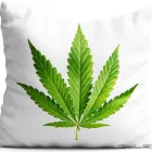 Przedsiębiorstwo 14 wizerunek KING OF THE BONGO Sportowa Odzież, Obuwie w Wrocław DS