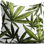 Przedsiębiorstwo 15 wizerunek KING OF THE BONGO Sportowa Odzież, Obuwie w Wrocław DS