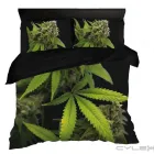 Przedsiębiorstwo 17 wizerunek KING OF THE BONGO Sportowa Odzież, Obuwie w Wrocław DS