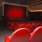 Przedsiębiorstwo 2 wizerunek KINO RIALTO Kina w Poznań WP