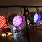 Przedsiębiorstwo 1 wizerunek KREATYWNIA Kwiaciarnie w Konin WP