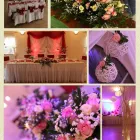 Przedsiębiorstwo 7 wizerunek KREATYWNIA Kwiaciarnie w Konin WP