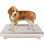 Przedsiębiorstwo 2 wizerunek KUMIEGA WAGI BARTŁOMIEJ KUMIEGA Wagi w Wrocław DS