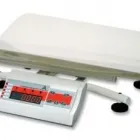 Przedsiębiorstwo 14 wizerunek KUMIEGA WAGI BARTŁOMIEJ KUMIEGA Wagi w Wrocław DS