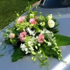 Przedsiębiorstwo 2 wizerunek KWIACIARNIA CATERING KWIATOWY BEATA GEBHARDT Kwiaciarnie w Kraków MA