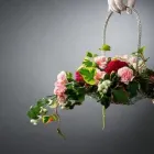 Przedsiębiorstwo 7 wizerunek KWIACIARNIA CATERING KWIATOWY BEATA GEBHARDT Kwiaciarnie w Kraków MA